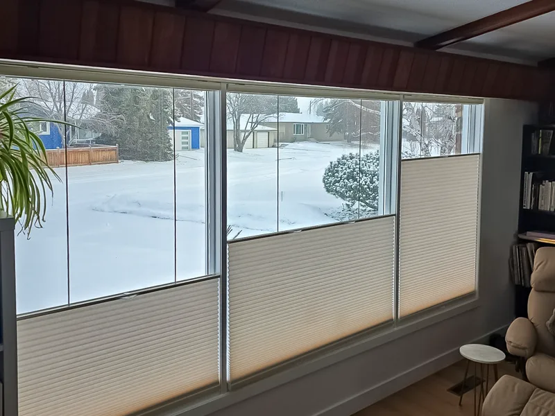 Honeycomb Blinds in a living room