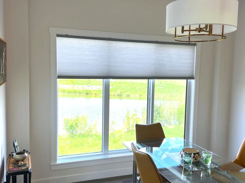 Honeycomb Blinds in a sunroom